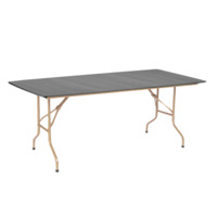 Product photo Table Leader 2, 2700*900, grey, champagne from the manufacturer ChiedoCover, product picture, real product photo