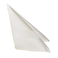 Product photo Satin Napkins from the manufacturer ChiedoCover, product picture, real product photo