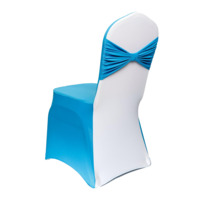 Product photo Chair cover 15 from the manufacturer ChiedoCover, product picture, real product photo