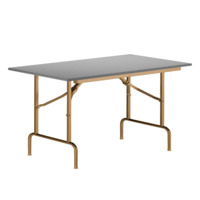 Product photo Table Leader 1, 1200x600, grey, champagne, PVC edge, without bumpers from the manufacturer ChiedoCover, product picture, real product photo