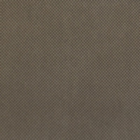 Product photo Amore fabric, velour from the ChiedoCover company.