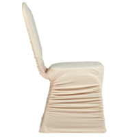 Product photo Case 02, spandex, beige from the ChiedoCover company.