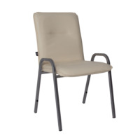 Product photo Rumba chair, eco-leather Cream, RAL silver 9006 from the manufacturer ChiedoCover, product picture, real product photo