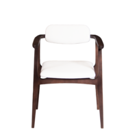 Product photo Gavi chair, velour Teddy 300, legs beech stain wenge from the ChiedoCover company.