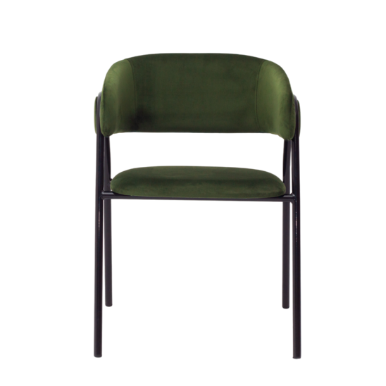 Gabbana chair, Catalana velour 14, RAL frame gloss black - photo 5