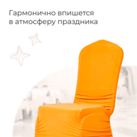 Product photo Case 02, spandex, orange from the ChiedoCover company.
