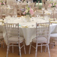 Product photo Chiavari chair, white wood, walnut patina from the ChiedoCover company.