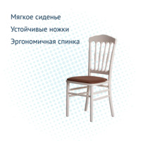 Product photo Napoleon chair with cushion, velour Velutto 03, beech frame from the ChiedoCover company.
