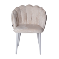 Product photo Tiffany chair, velour Monaco 01, metal legs RAL 9003 from the ChiedoCover company.