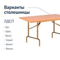 Product photo Table Leader 1, 1200x600, beech, champagne, PVC edge, without bumpers from the ChiedoCover company.