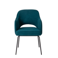 Product photo Rose chair, velour Omega 61, spider legs RAL 9005 from the ChiedoCover company.