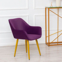 Product photo Euphoria velour chair, metal legs from the ChiedoCover company.