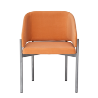 Product photo Gucci half-seat, velour Ginger 35, metal frame from the ChiedoCover company.