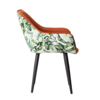 Product photo Euphoria chair, velour Modus 13, back backrest tapestry Exotic from the ChiedoCover company.