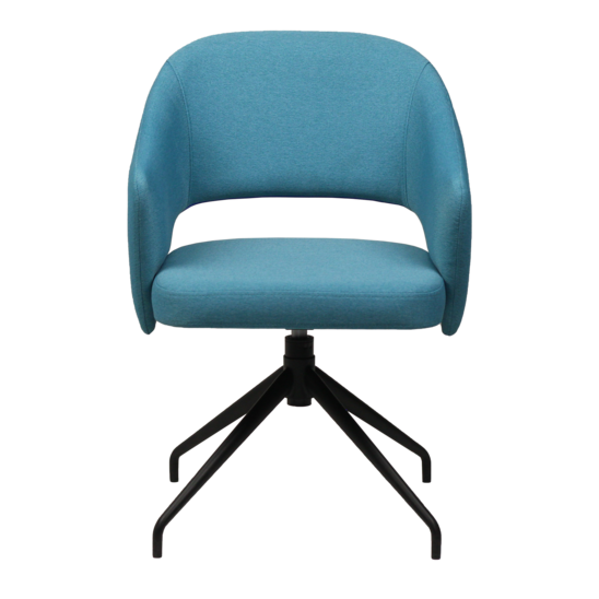 Fly chair, blue matting, swivel base - photo 4