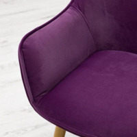 Product photo Euphoria velour chair, metal legs from the ChiedoCover company.