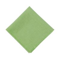 Product photo Fringed napkin, pistachio from the manufacturer ChiedoCover, product picture, real product photo