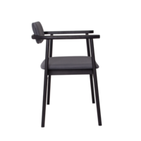 Product photo Gavi chair, velour Velutto 32, beech frame, black stain  from the ChiedoCover company.