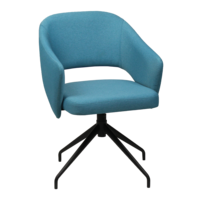 Product photo Fly chair, blue matting, swivel base from the manufacturer ChiedoCover, product picture, real product photo